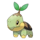 Turtwig