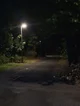 The Stranger 