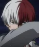 Shoto Todoroki