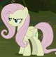 Fluttershy