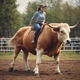Bull rider