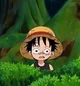 Luffy kid
