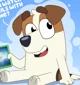 Jack Russel