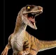 Velociraptor JPTLW