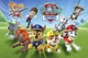 Paw patrol roleplay
