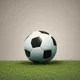 Soccer Life