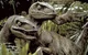 Velociraptores JP1 