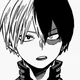 Shoto Todoroki 
