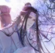 Lan Wangji-Lan Zhan