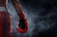 Boxing Carrer RPG