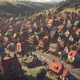 Furryhill