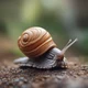 Snail