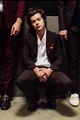 harry styles - mafia