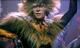 Rum Tum Tugger 