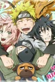 Team 7