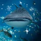 Whale shark