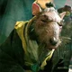 Master Splinter 