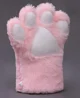 A pair of paw gloves