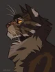 Tigerclaw 