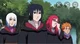 Sasuke and the Habi
