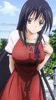 Akeno Himejima wife