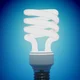 CFL Fluorescent Bulb