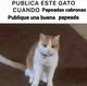 Gato feo