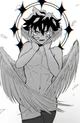 Dark angel Deku