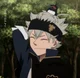 Asta