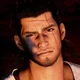 Gladiolus Amicitia