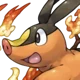 Tepig