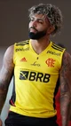 Gabriel Barbosa 