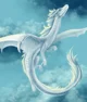 Sky Dragon