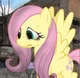 Mindvirus fluttershy