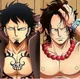 Ace y Law