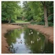 Duck pond