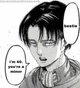 Levi Ackerman