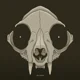 Skull kitty