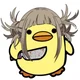 Toga Duck 