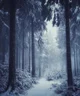 Winter Woods RPG V2
