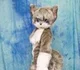 Elizabeth_