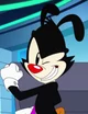 Yakko Warner