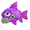 Purple Fish