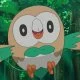 Rowlet -Ash-