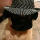 Pug with a Hat