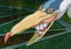 The Heron