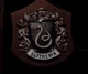 Slytherin companion