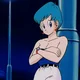 Bulma Briefs 