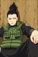 Shikamaru vago