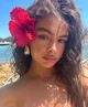 Hawaiian gf